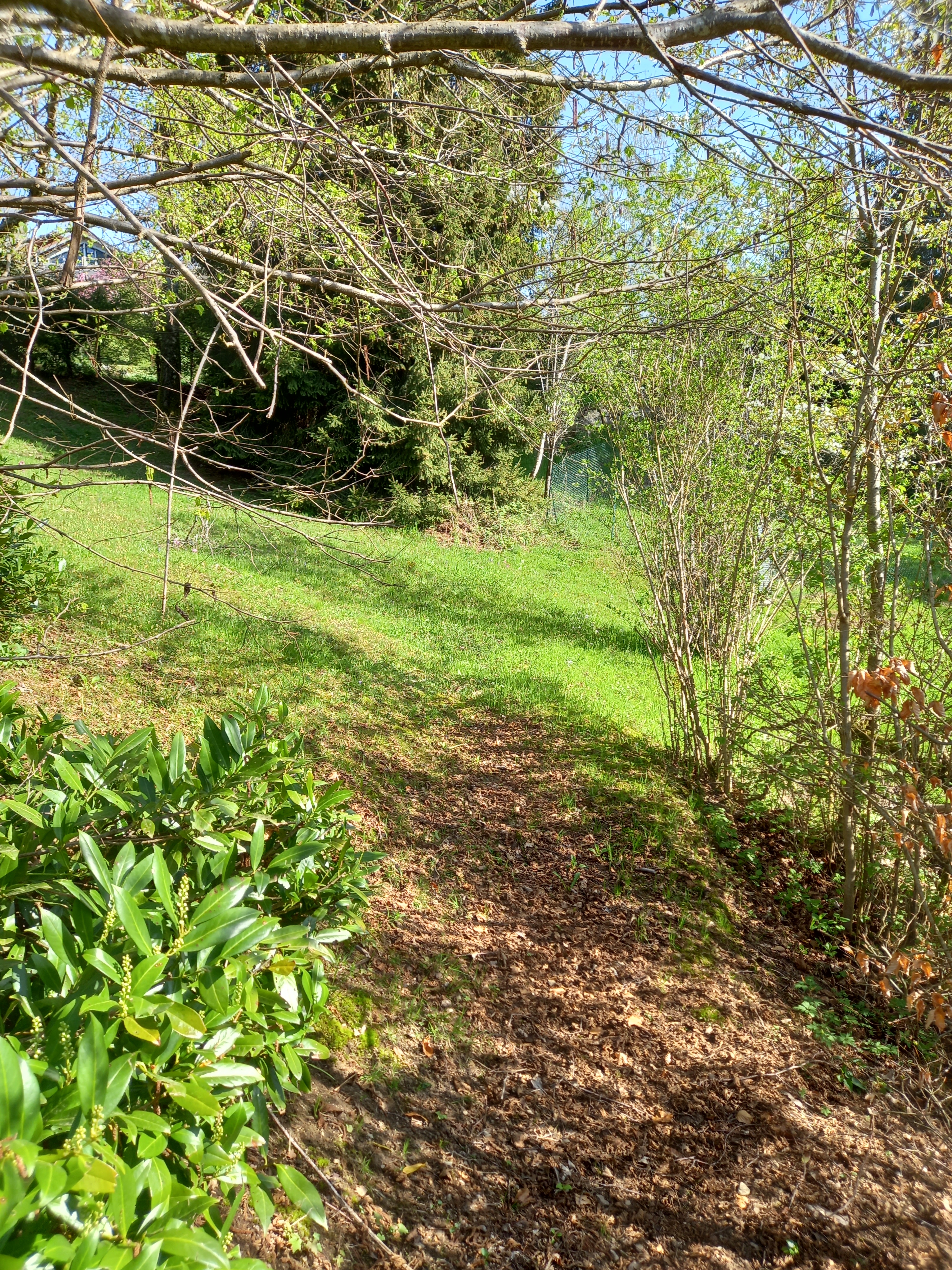 Gîte Bellavie à La Bresse avec jardin ombragé