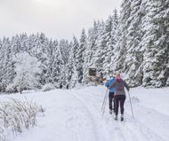 Le ski nordique à La Bresse